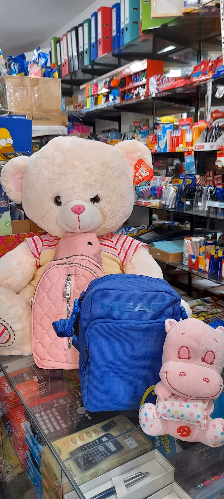 Aladino libreria y jugueteria