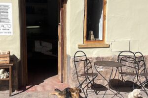 Artefacto Textos y Textiles