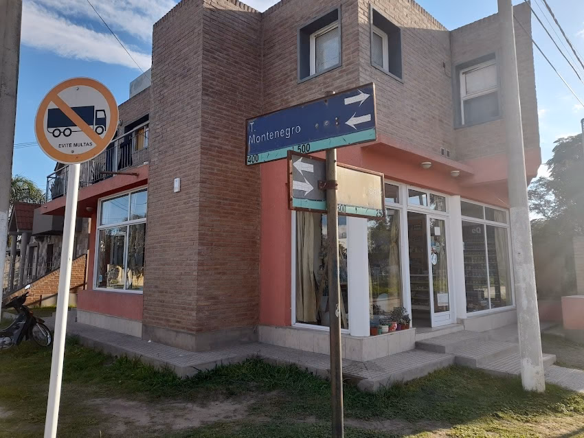 Artística Pinta tus Sueños