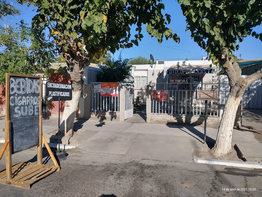 Ciudad Bohemia Librería