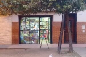 Colores Primario Pago Fácil