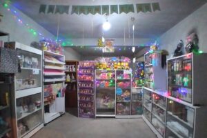 Despensa y Libreria Lanona