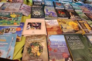 Feria del libro Traslasierra