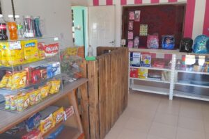 Fotocopiadora virgen de Urkupiña