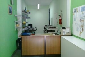 Fotocopias BVPsicologa P de Sousa