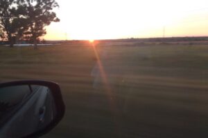 Fotos Hector Estudio Fotográfico Laboratorio Profesional