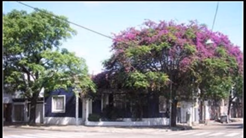 Kiosco Y Librería Nico