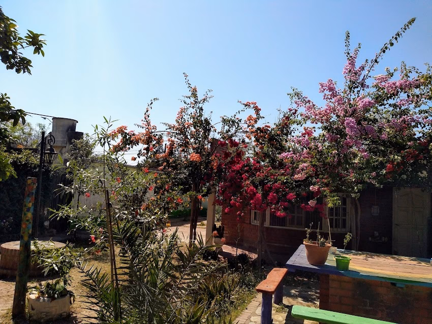 La Lengua Subtorácica dietética y librería