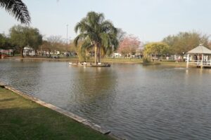 La Oficina Megalibrería