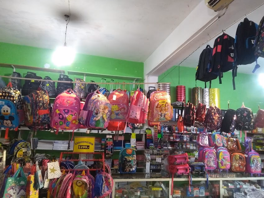 Libreria Arte Polietileno