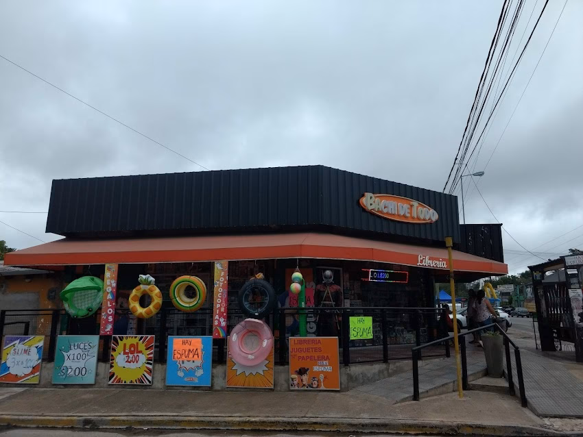 Libreria Bachi De Todo