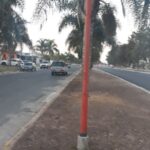 Librería Buena Onda