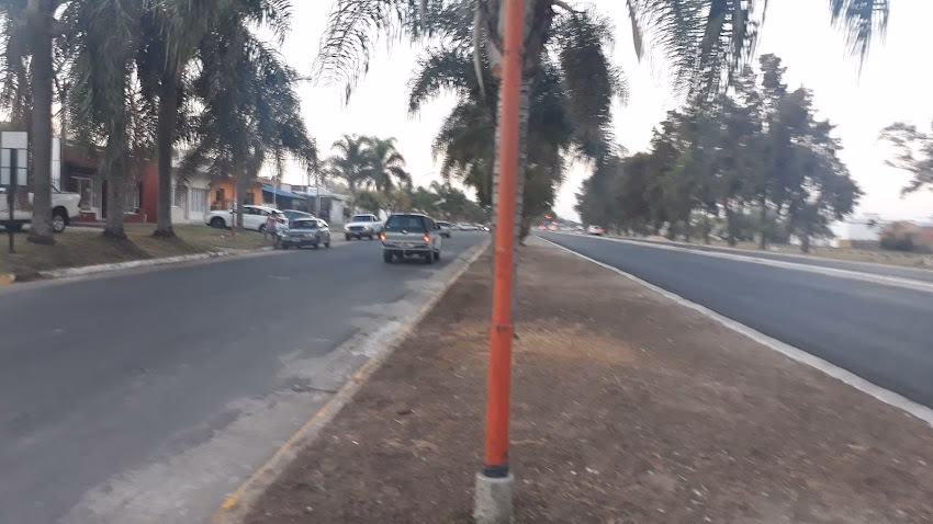 Librería Buena Onda