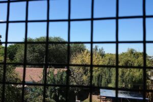 Librería Del Complejo