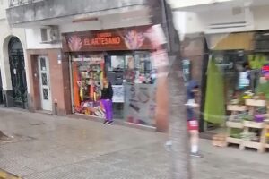 Librería El Artesano