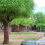 Libreria Entre Lineas