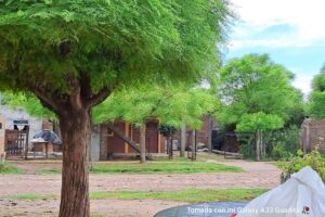 Libreria Entre Lineas