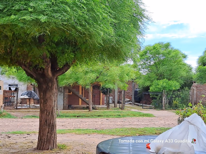 Libreria Entre Lineas