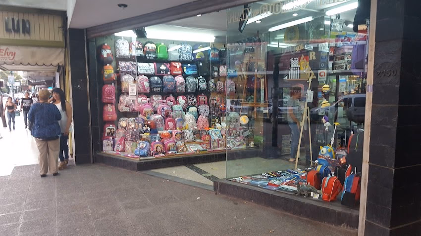 Libreria Essa