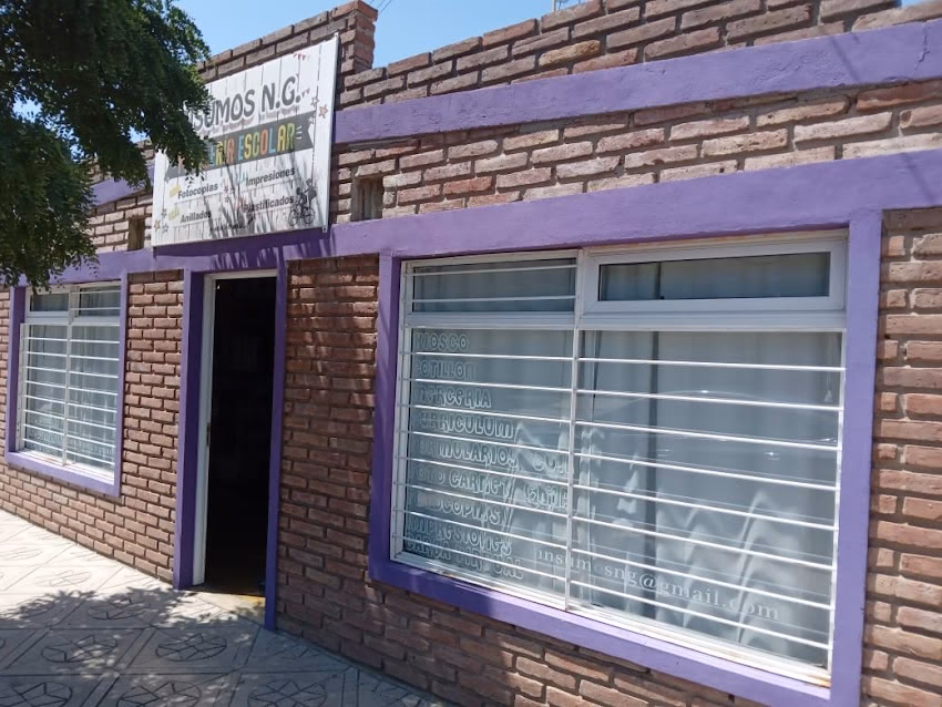 Librería Insumos Ng