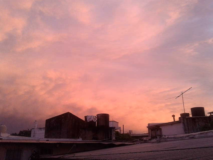 Librería Internacional