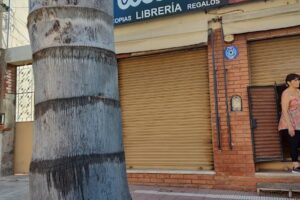 Librería mundo mágico