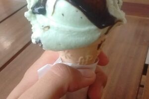 Librería Nuevo Horizonte