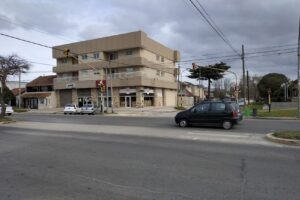 Librería Palito Constitución
