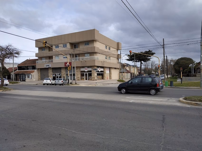 Librería Palito Constitución