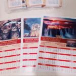 Librería Piedra Libre