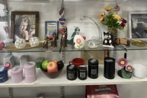 Libreria Regaleria Bervian