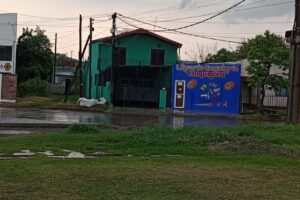 Libreria Regaleria Chiquigoisi