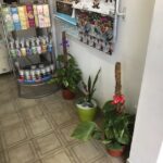 Librería San Martín