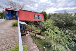 Libreria Silvestre Libros