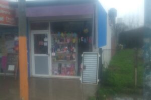 Libreria Y Jugueteria Danita