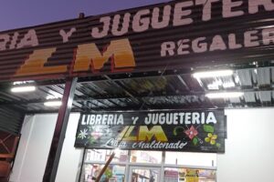 Librería Y Juguetería Lm