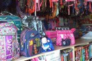 Librería y Juguetería Los Nietos