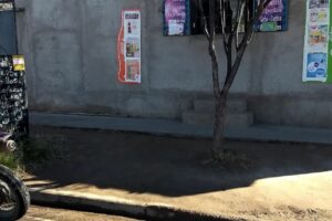 Libreria y Regaleria Dulce Lucia