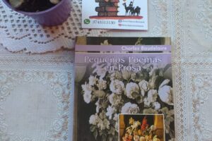 Libros Clásicos Rocinante venta únicamente online