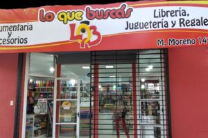 Lo Que Buscas Librería y Jugutería
