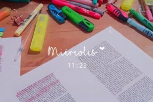 Mi Pequeño Querubin