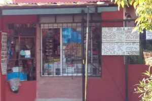 Mil Lunares kiosco y libreria