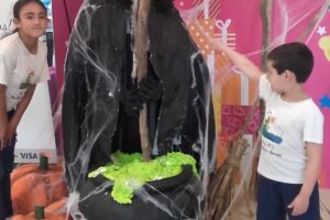 Pichi Jugueteria Libreria