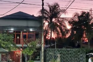 Stop Way Maxikiosco Juguetería Libreria