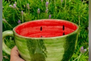 Tienda Raíz Cuadrada El Challao Librería Regalería Cotillón Juguetería