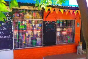 Variedades Mamá Nilda Librería Regaleria Accesorios Bazar