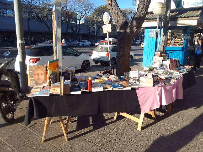 Vendedor Ambulante De Libros
