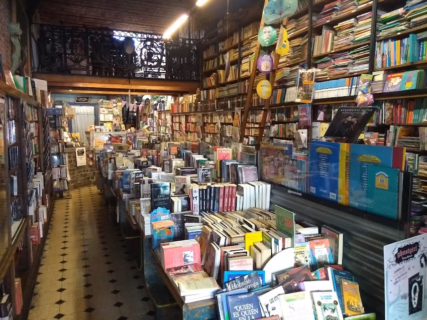 Vuelvo al Sur Libros